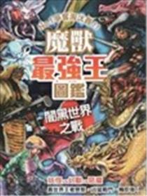 魔兽最强王图鉴 暗黑世界之战：NO.1争夺淘汰赛