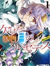 月亮残缺的梅赛德斯
