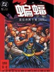 蝙蝠侠：蝙蝠之影
