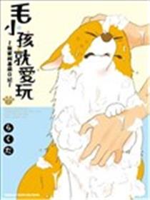 毛小孩就爱玩～我家柯基萌日记