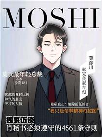 男秘书的使命