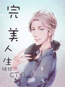 完美人生