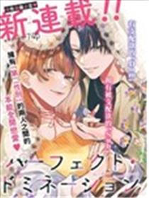 完美支配