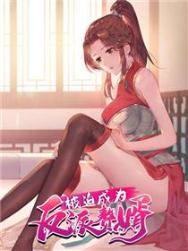 被迫成为反派赘婿